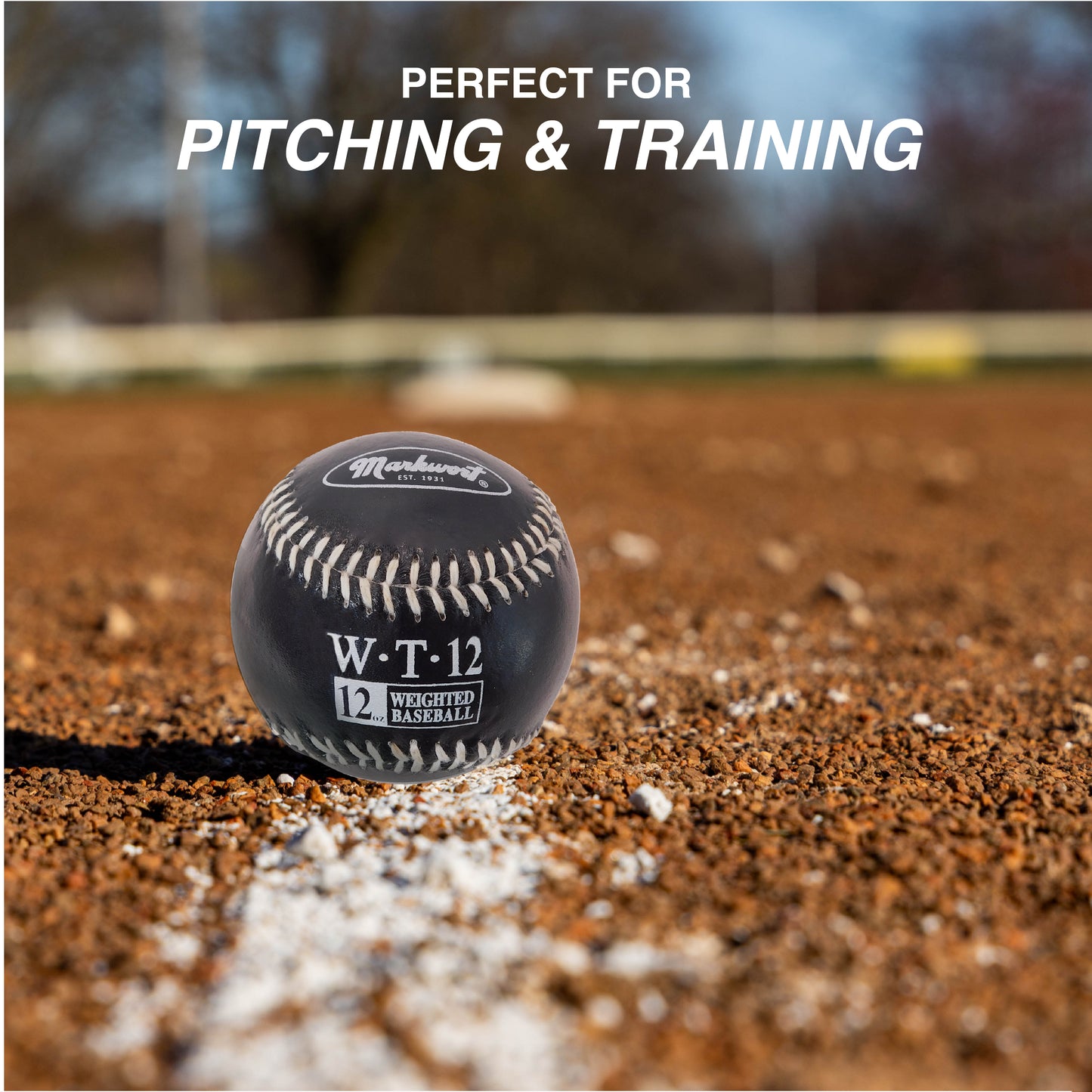 Markwort 9-Inch Leather Cover Weighted Baseball Set